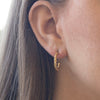 Twisted Gold Hoops - Lulu + Belle Jewellery